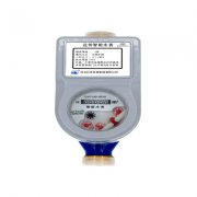 LoRa水表_無(wú)線_抄表